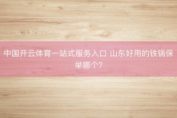 中国开云体育一站式服务入口 山东好用的铁锅保举哪个?
