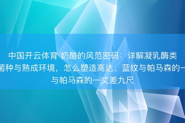 中国开云体育 奶酪的风范密码：详解凝乳酶类型、发酵菌种与熟成环境，怎么塑造高达、蓝纹与帕马森的一丈差九尺