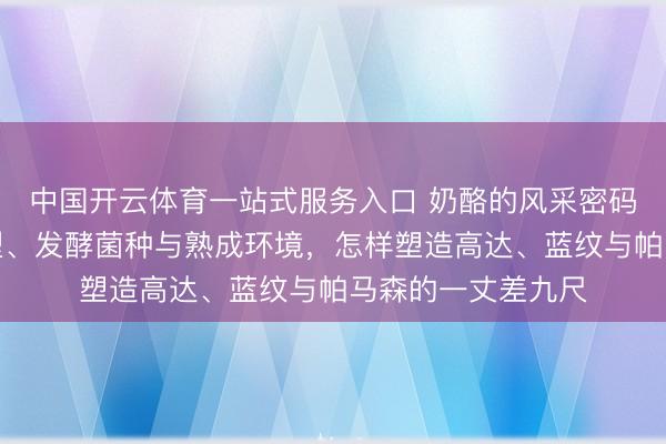中国开云体育一站式服务入口 奶酪的风采密码：详解凝乳酶类型、发酵菌种与熟成环境，怎样塑造高达、蓝纹与帕马森的一丈差九尺