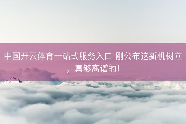 中国开云体育一站式服务入口 刚公布这新机树立，真够离谱的！