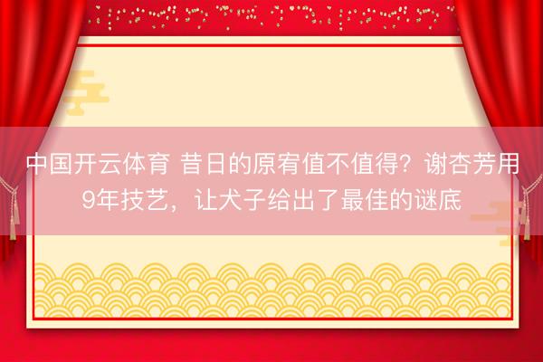 中国开云体育 昔日的原宥值不值得？谢杏芳用9年技艺，让犬子给出了最佳的谜底