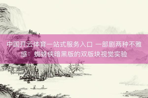 中国开云体育一站式服务入口 一部剧两种不雅感：蜘蛛侠暗黑版的双版块视觉实验