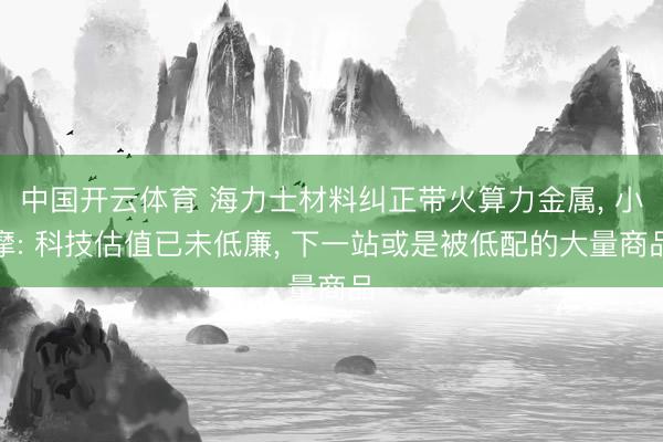 中国开云体育 海力士材料纠正带火算力金属， 小摩: 科技估值已未低廉， 下一站或是被低配的大量商品