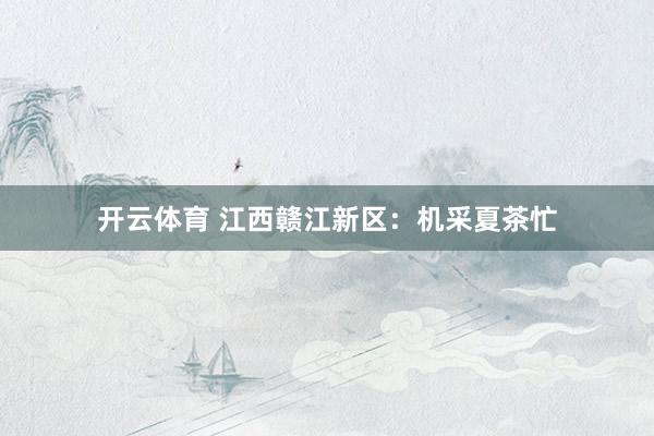 开云体育 江西赣江新区：机采夏茶忙